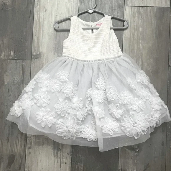 18 month formal dress Set Dress For Kids 0-18 Months old Birthday Pink Butterfly Sleeve Tull –  Top Super Deals main image 0